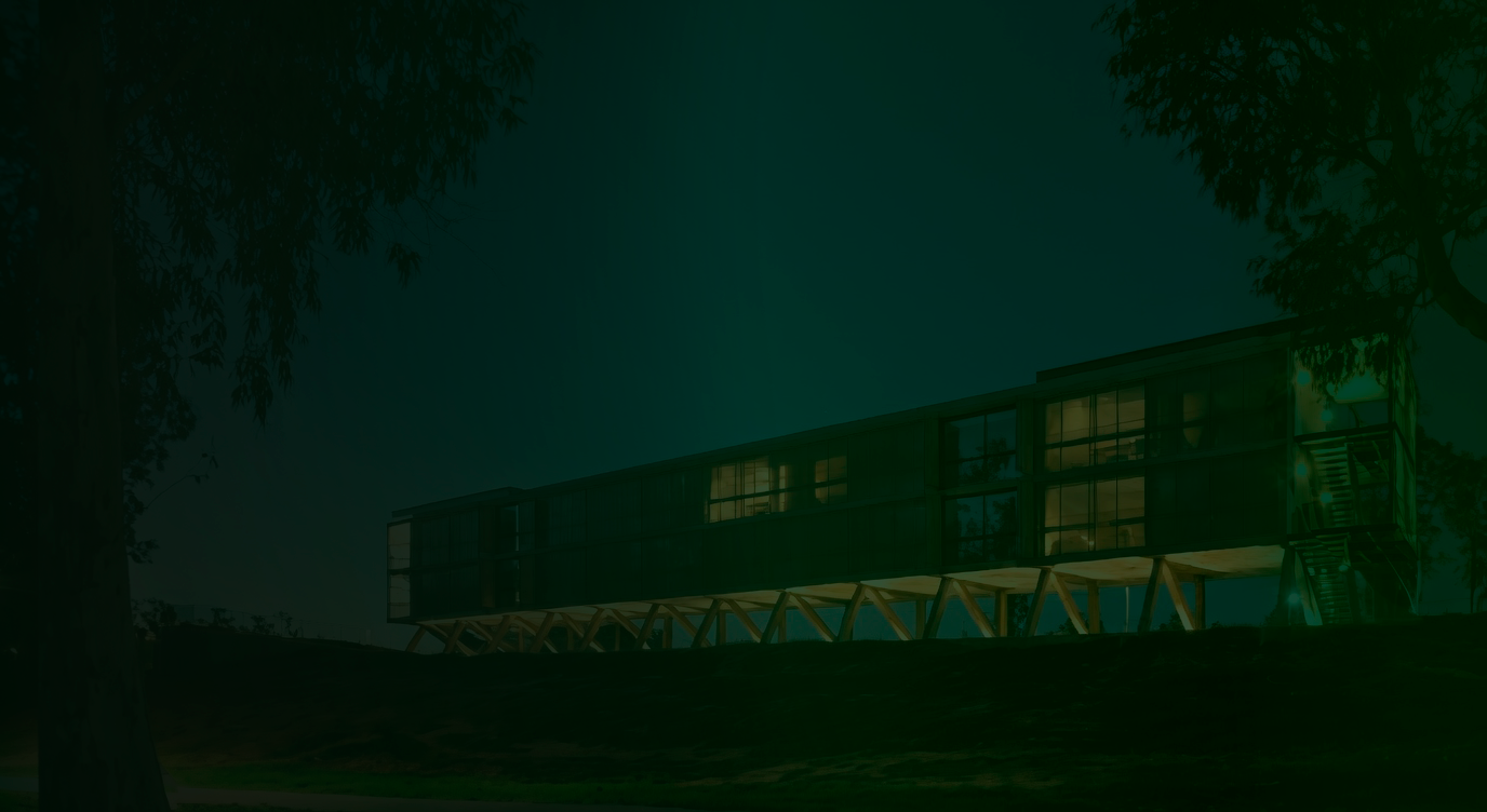 Casa contemporánea rodeada de vegetación al atardecer